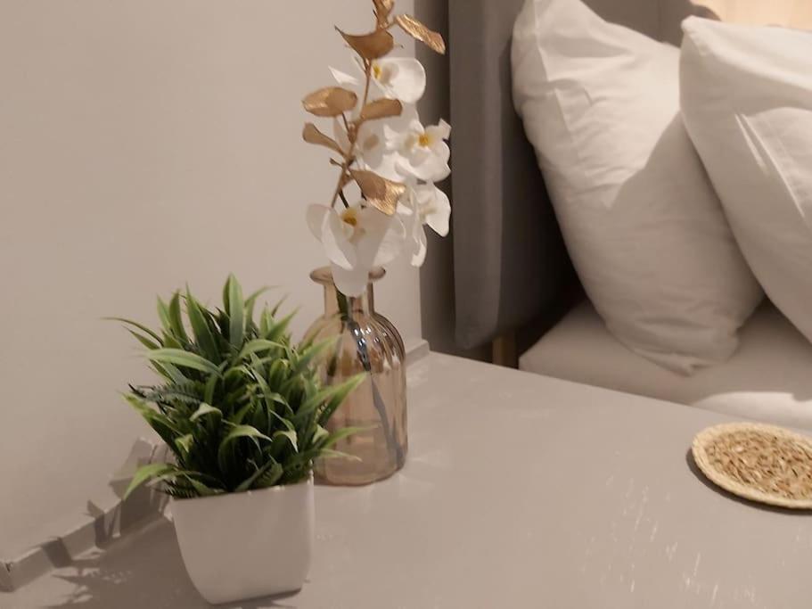 Tranquil Boho Bliss Appartement